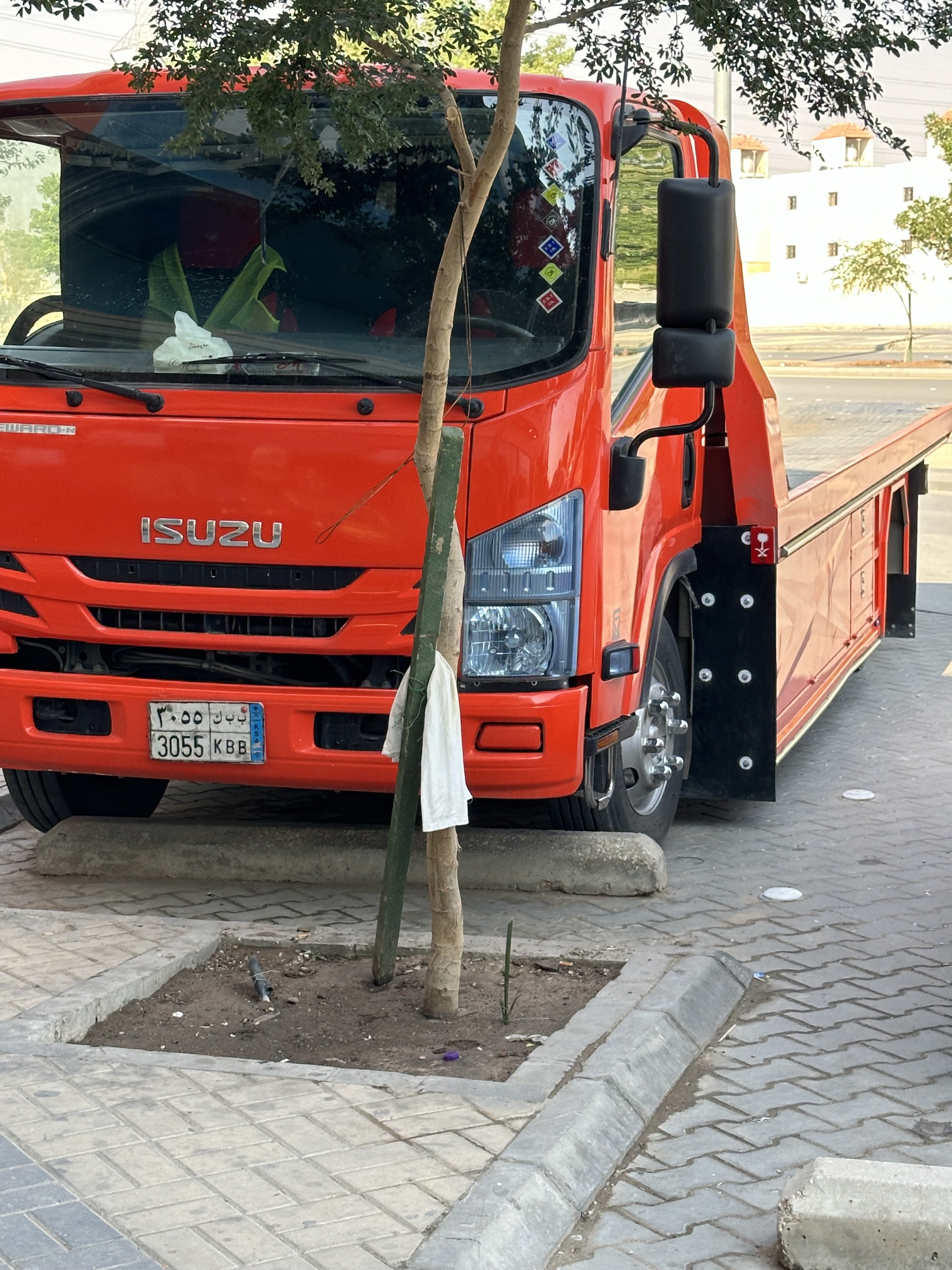 سطحه قرطبه